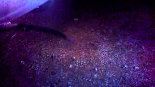 WP 20140913 202434Z