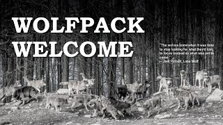 Wolfpack Welcome - 2020/2021 - The "Virtual Edition"