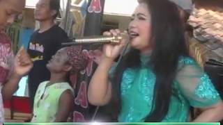 NYAWANG GUNUNG - CITRA NADA Live Ds.PENJALIN BANYU