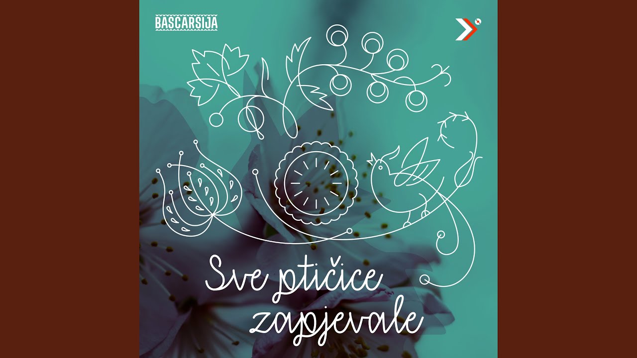 Tamburalo momce uz tamburu YouTube