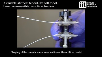 Tendril-like soft robot based on reversible osmotic actuation