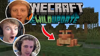 Gamers Reaction to First Seeing Frogs and Fireflies in Minecraft 1.19 screenshot 2