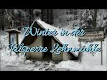 Winter in der Talsperre Lehnmühle