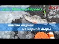 Зимняя рыбалка на заливах Красноярского водохранилища. Абакано-Перевоз.  06.01.2019г.