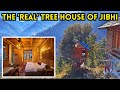 Best tree house to stay in jibhi and tandi  budget friendly tree house with attic