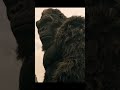 Why Kong Spared Kentaro Monarch Legacy of Monsters