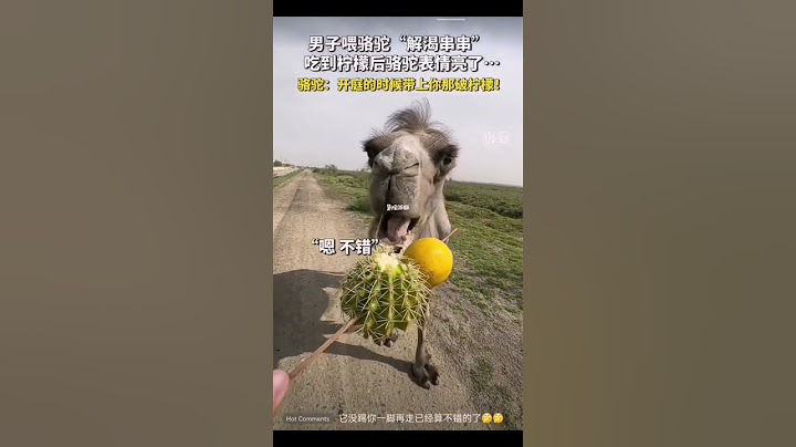 男子喂骆驼“解渴串串”，吃到柠檬后骆驼酸出表情包…#搞笑#搞笑视频 #搞笑視頻 #动物 #animals #animal #camel