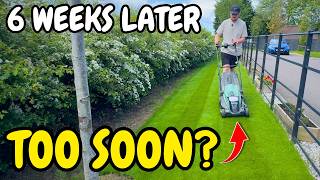 When Can You Cut a Newly Turfed Lawn?