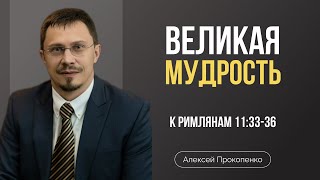 Великая мудрость Божьего замысла | Алексей Прокопенко