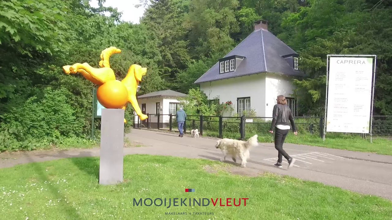 Bloemendaal YouTube