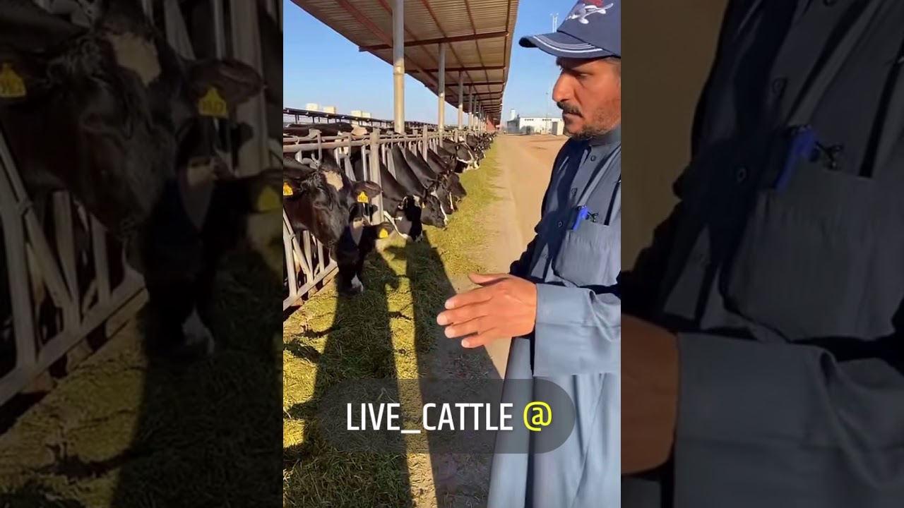 زيارة شركة تغذية للمواشي