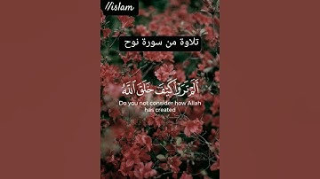 تلاوة من سورة نوح بصوت الشيخ ياسر الدوسري 😊
