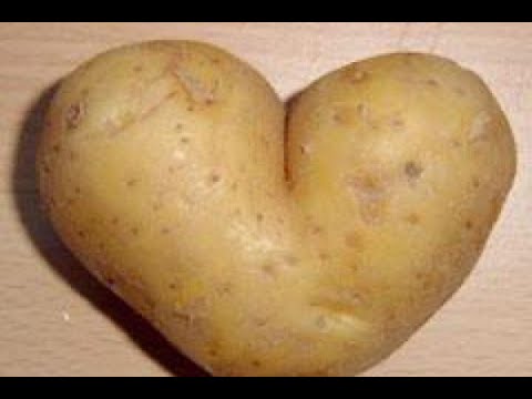 Mr Vanooo!!! partiis lideri /წინასაარჩევნო დაპირებები/ნახეთ სხვა ეპიზოდები და გთხოვთ გამოიწეროთ არხი