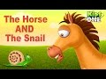 The horse and the snail  funny short story for kids  kidsone