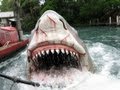 Universal studios orlando jaws ride pov full ride  last day