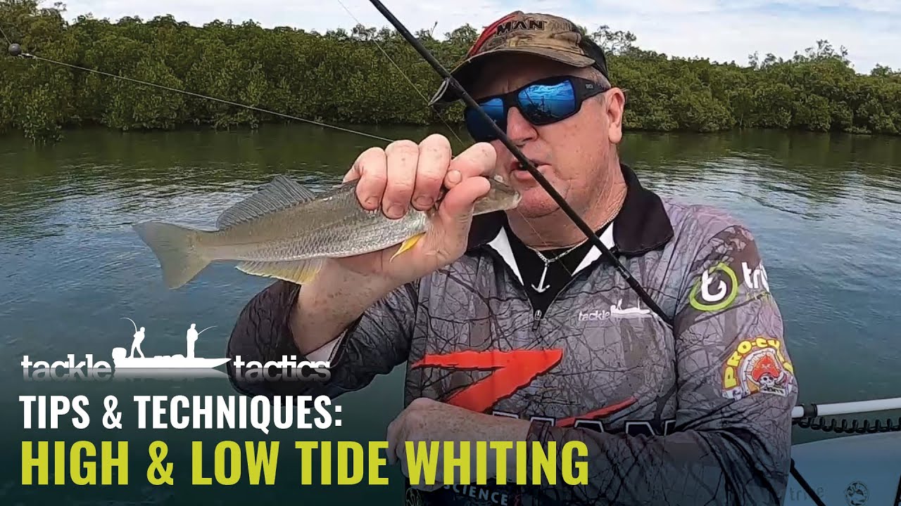 How to Catch Whiting on Yabbies - High & Low Tide with Paul Chew 