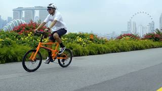 Reach - Taking The Coolest Mini Velo For A Ride - Pacific Cycles - Mighty Velo Singapore