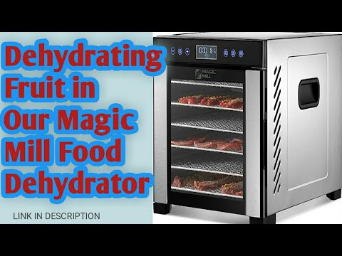 Magic Mill Food Dehydrator UnboxingPrepping Dehydrate First Use