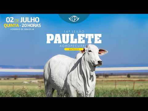 LOTE 30