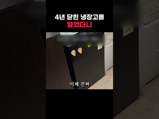 4년 만에 냉장고 열면 생기는 일