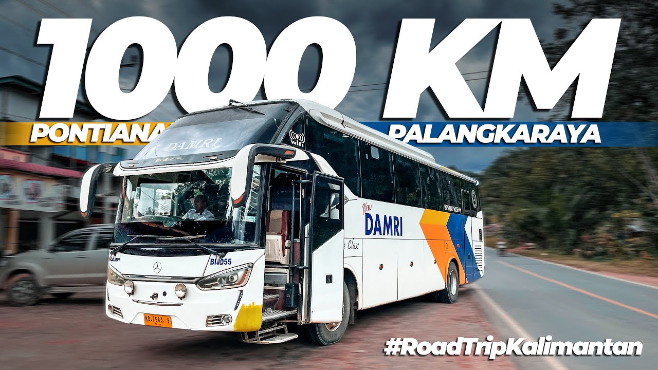 MENEMBUS HUTAN TRANS KALIMANTAN | Pontianak - Palangkaraya Naik Bus Damri #10