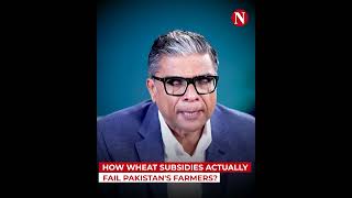 How Wheat Subsidies Actually Fail Pakistan's Farmers? | Narratives