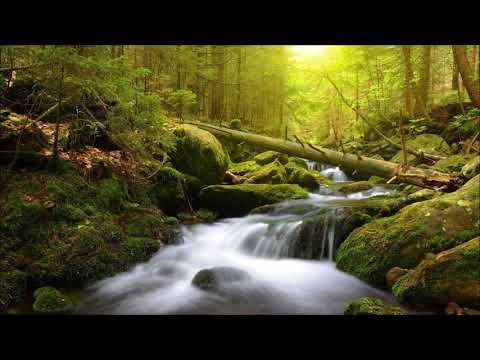 Beautiful Instrumental Hymns about the Peace and Comfort of God | Relaxing, Soothing, Peaceful
