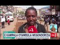 obutambi obwafulumye, nga bulaga bannakampala, abalimisibwa nga balinye mu bifo ebirimu omuddo.