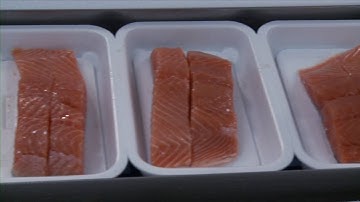 SEALPAC A5 for salmon applications Fishcut, France