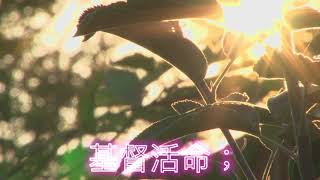 台語新聖詩413首「今已經黃昏」Now it is evening