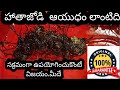 Benefits of Chandi Maa Root HathaJodi | Power of Hathajodi | Original Hatha jodi #viral