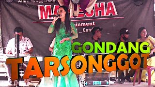 TARSONGGOT Lagu Tapsel versi Gondang MAHESHA cover by NISA