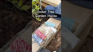 Dollar Tree Garden Hacks