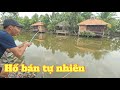 Lần đầu trãi nghiệm đi câu hồ bán tự nhiên, dính nhiều loại cá lớn nhỏ