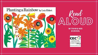 Celebrity Planting a Rainbow Profile
