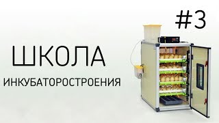 ШКОЛА ИНКУБАТОРОСТРОЕНИЯ №3 (Лотки для инкубаторов и все что нужно о них знать)