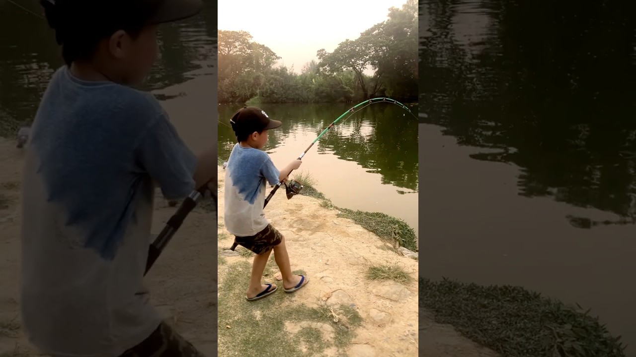 Fishing in Chiang Mai : チェンマイで巨大ナマズを釣り上げる。主はまた元気に戻って行きました。 #fishing #chiangmai #kids #japanese