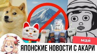 :  :   , 100- ,   ,   