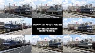 7月22日正午前後に撮影できました8本の貨物列車(R5.7.22)