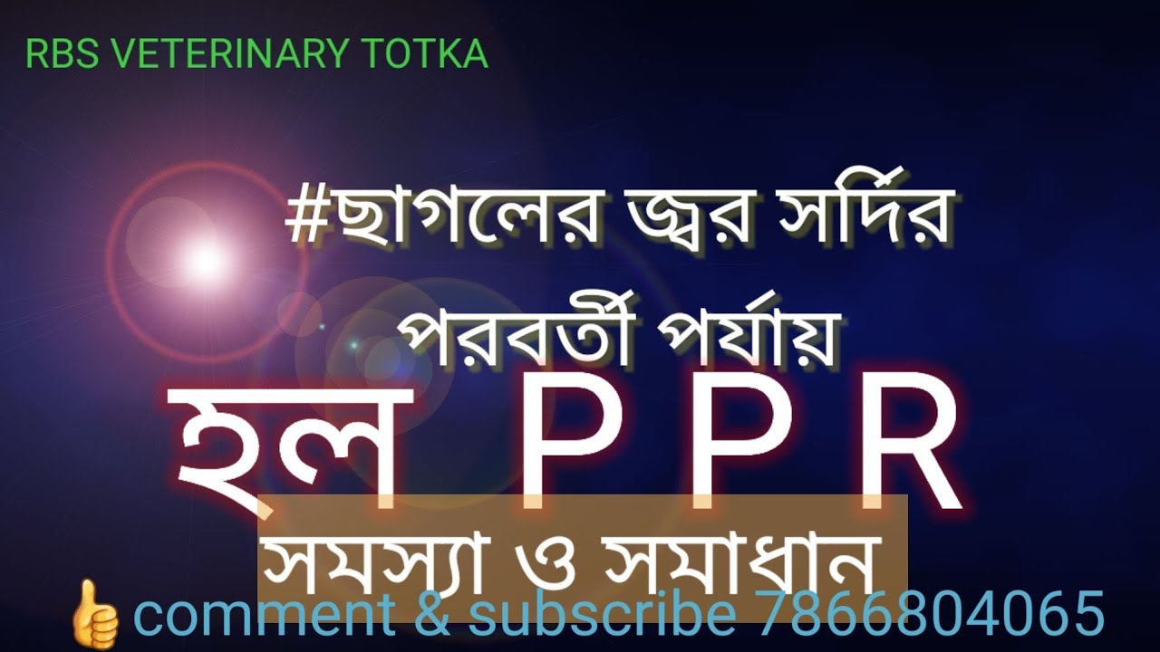 PPR In Goat Treatment YouTube ppr-in-goat-treatment-youtube