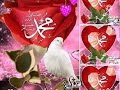 نغمات الرادود باسم الكربلائي ولادة النبي محمد صلى الله عليه وسلم 