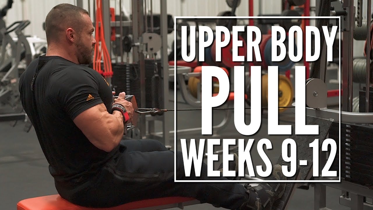 Train Like a Machine Weeks 9-12 Upper Body Pull | Tiger Fitness