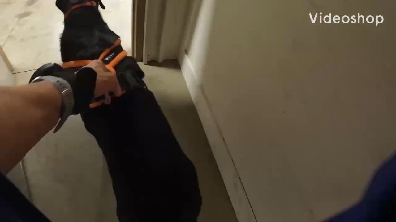 The Bay Search from the Elite at Smithton, PA. 10/4/2025