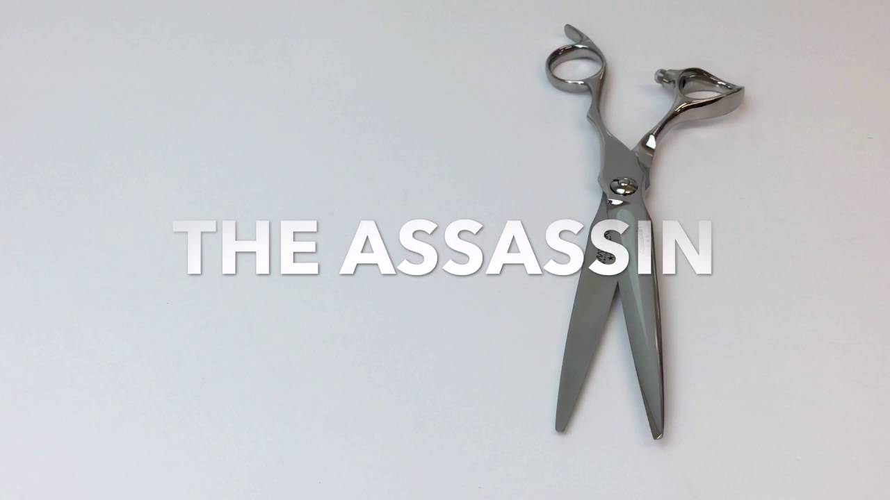 The Assassin hairdressing apprenticeships