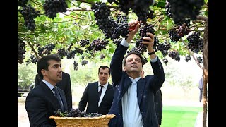 картинка: Боздид аз ҶДММ “ТОҶ АГРО” дар ноҳияи Мир Сайид Алии Ҳамадонӣ