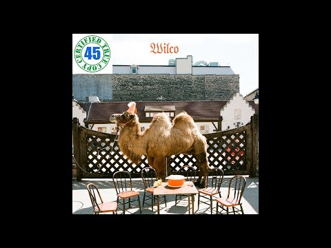 WILCO - ONE WING - Wilco (2009) HiDef :: SOTW #37