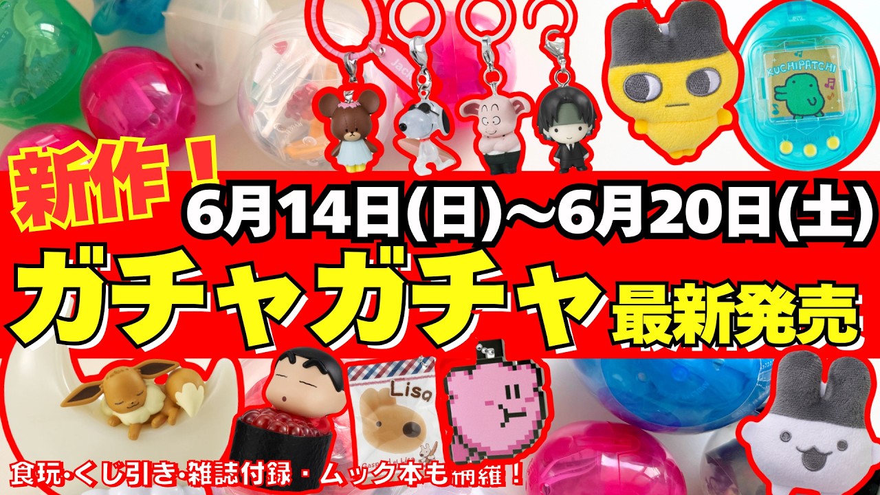 Gachapon] ⚠️Latest Release Information! June Weekly Roundup