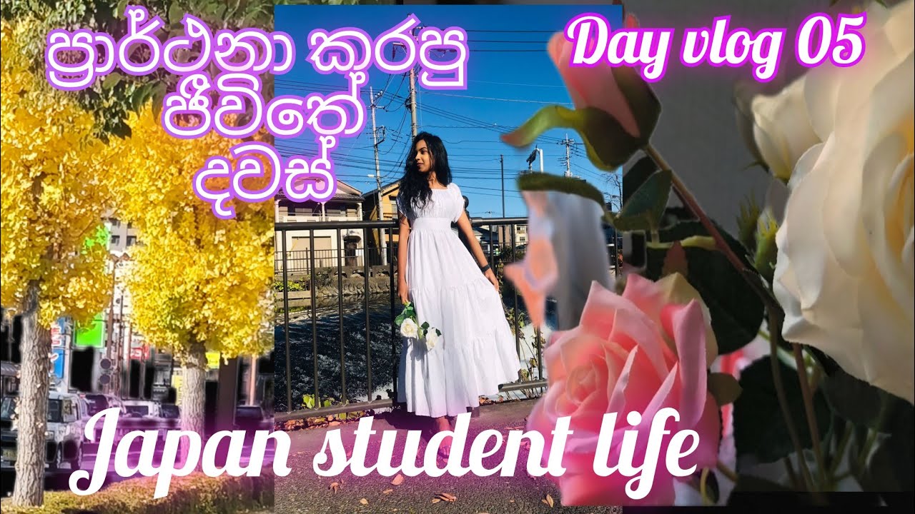 මම ආස කරපු ජීවිතේ දවස්🇯🇵🫶 Day vlog 05