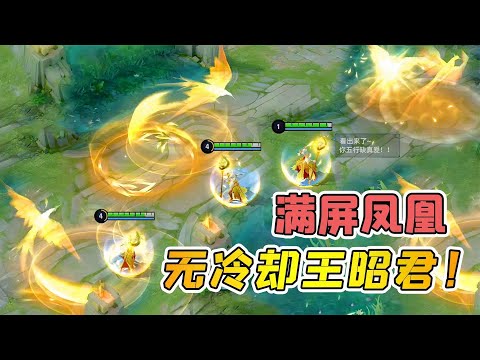 小虾米：无冷却的王昭君，大招布满整个屏幕，还能无限冰冻人！
