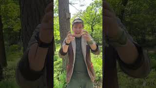 Kinderpretpark Julianatoren - Kriebelweken - Rode Bosmier